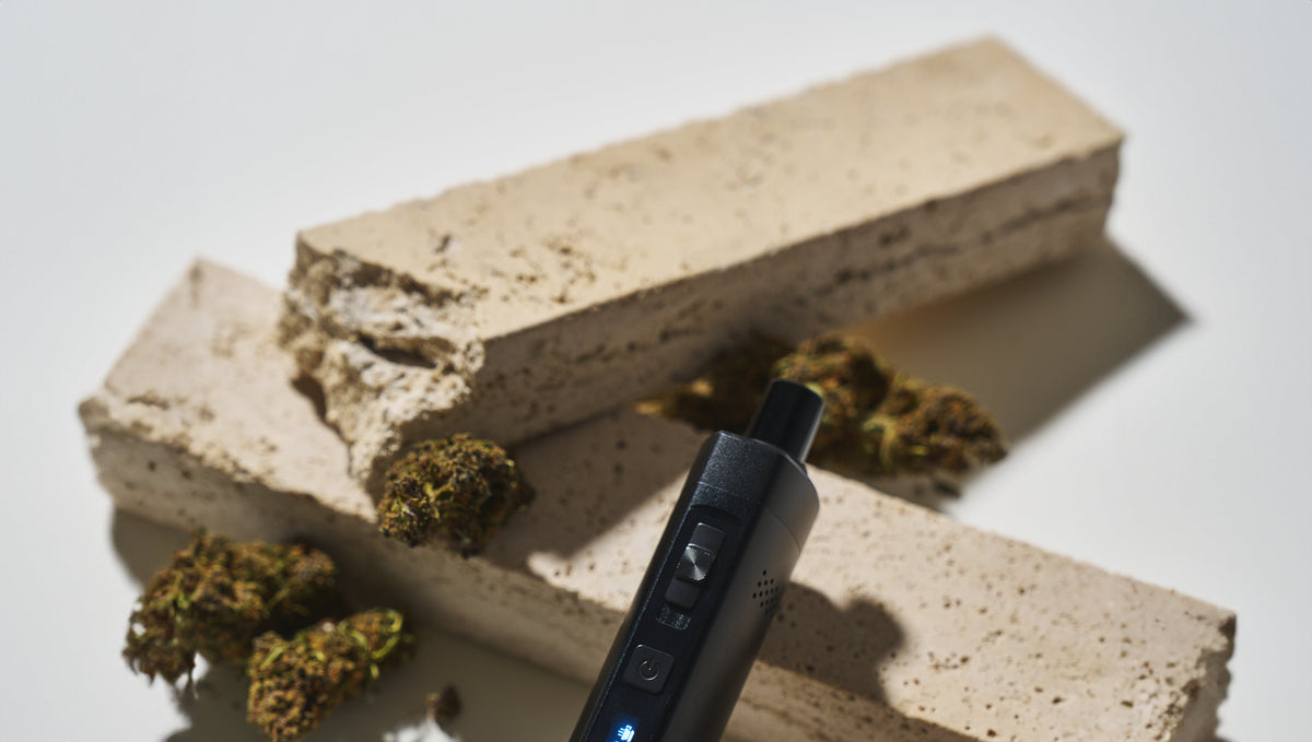 Dry herb vaporizer is the way to vape cannabis